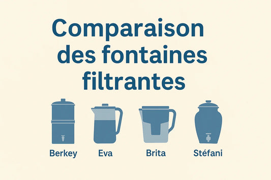 Comparaison des différentes fontaines filtrantes : Berkey, Eva, Brita et Stéfani - Fontaine backes