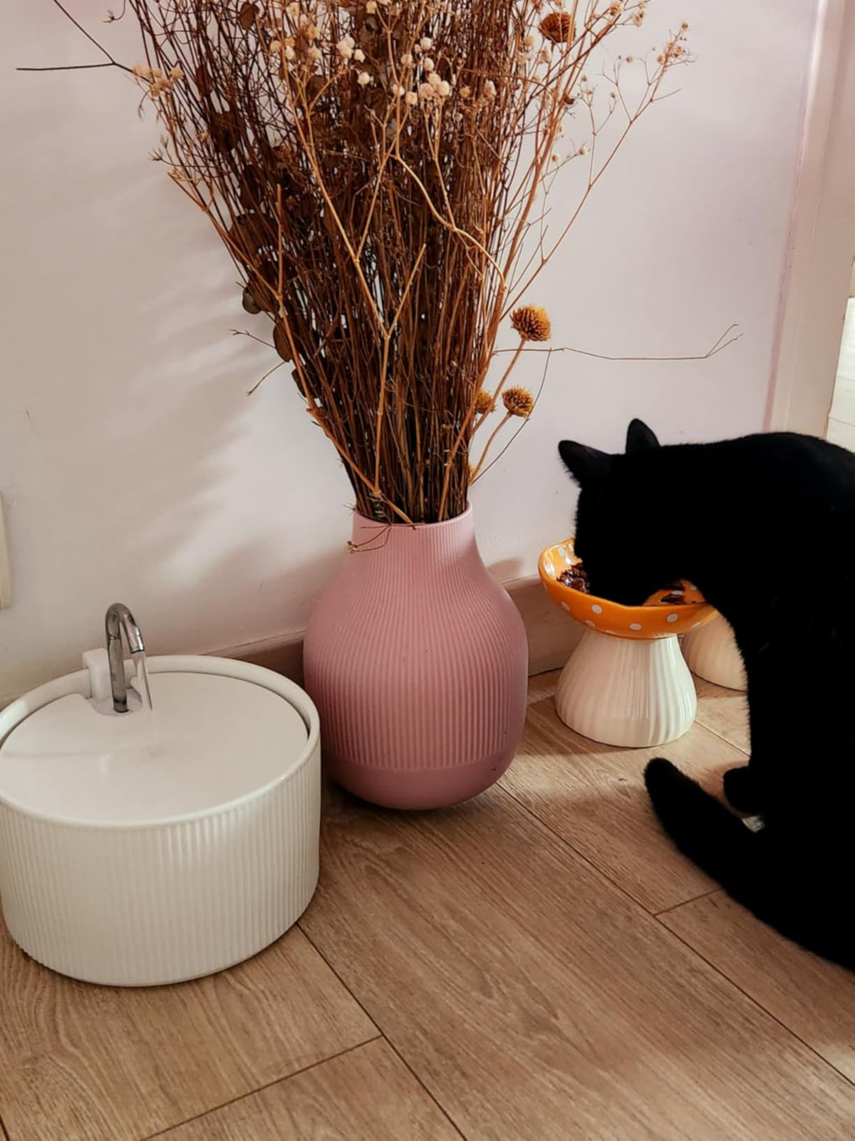 Fontaine à eau pour chat céramique - Silencieuse & Facile à nettoyer