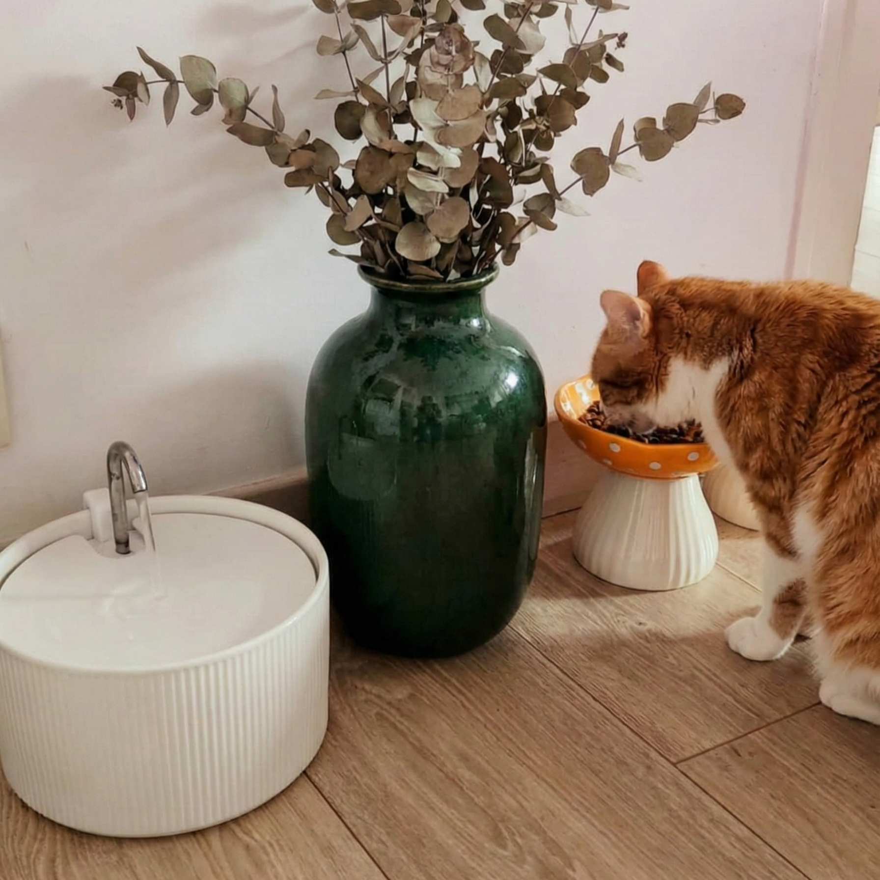 avis photo fontaine céramique chat Image