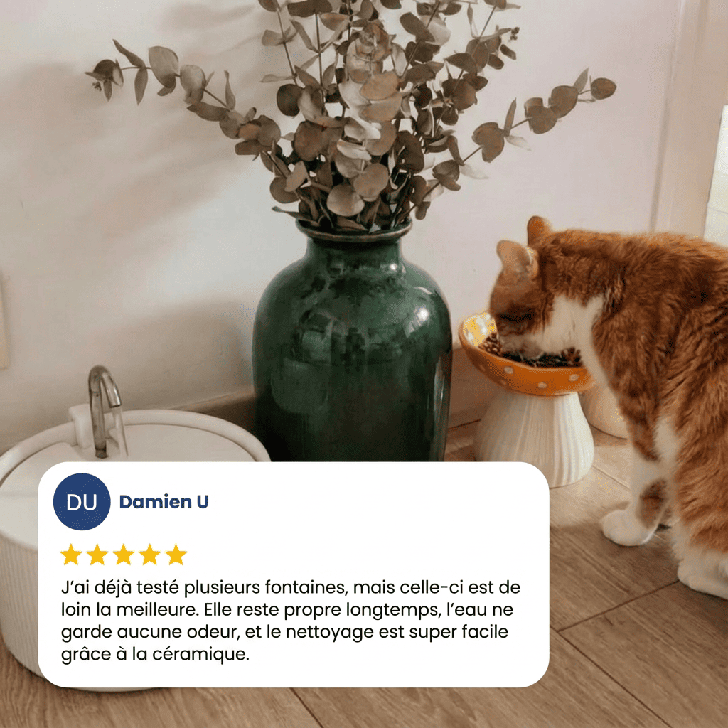 meilleure fontaine chat ceramique